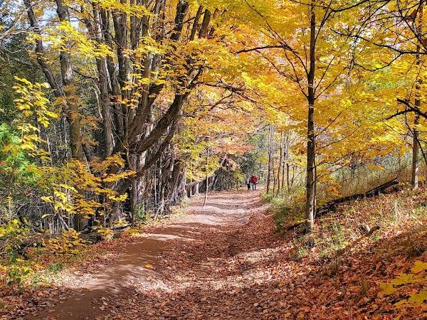 Mono Cliffs Provincial Park (Reservation Required) 2