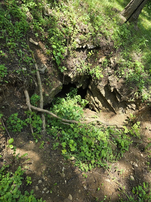 Lincoln Caverns 2