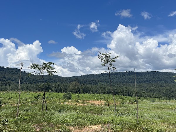 Cardamom Mountains