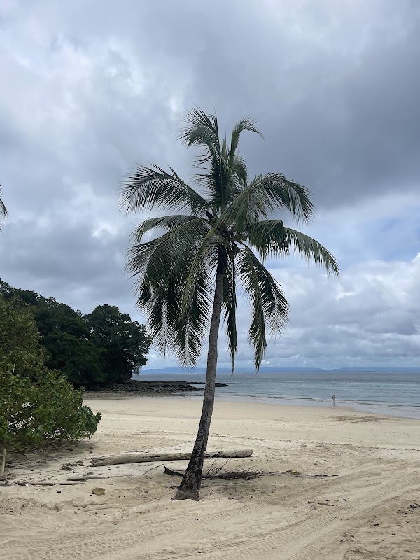 Pearl Islands 3