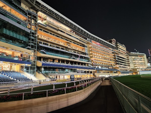 Happy Valley Racecourse 5