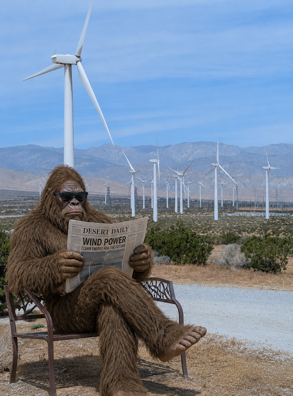 Palm Springs Windmill Tours 2