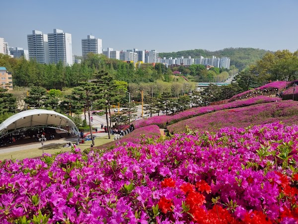철쭉동산