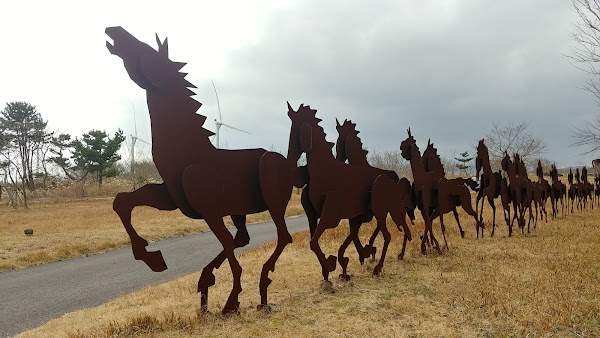 Jeju Horse Park 1