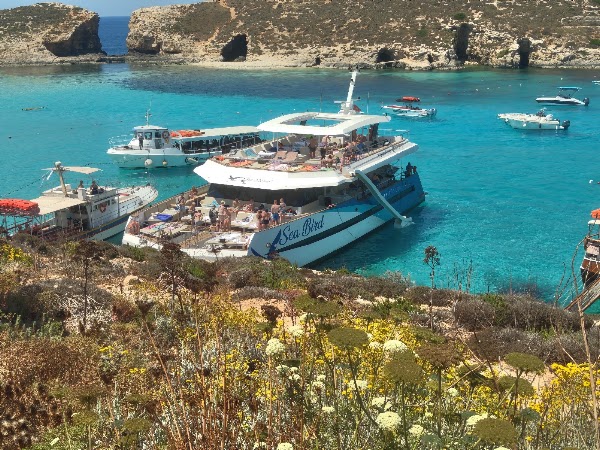 Visit Blue Lagoon Malta 5