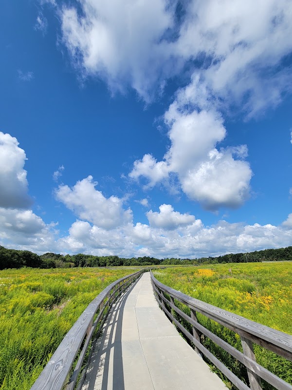 Mike Schout Wetlands Preserve 4