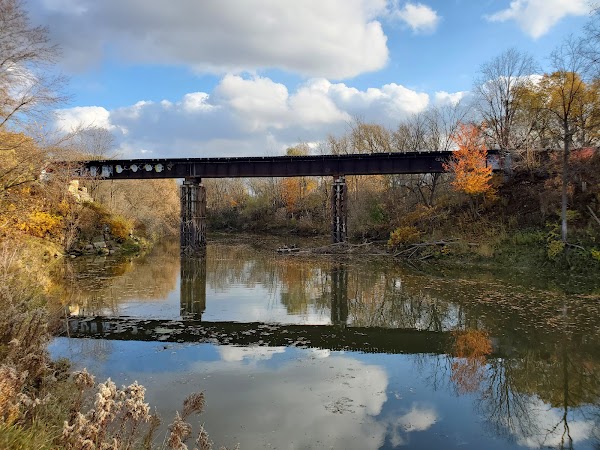 Mike Schout Wetlands Preserve 3
