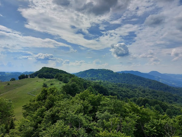 Povlen