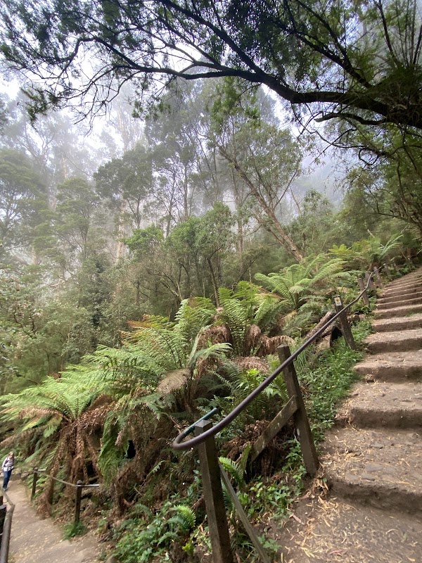 1000 Steps Kokoda Track Memorial walk
