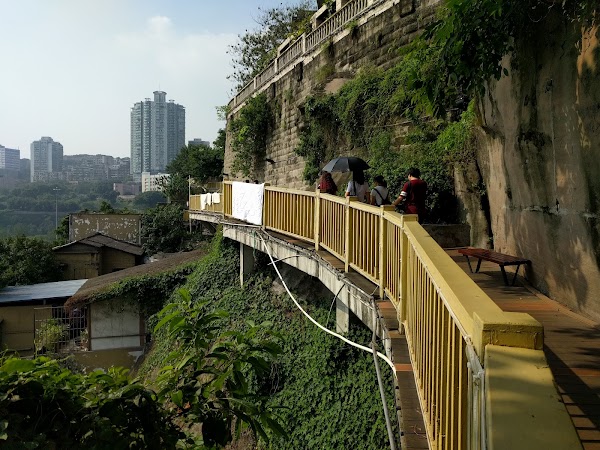 Chongqing 19