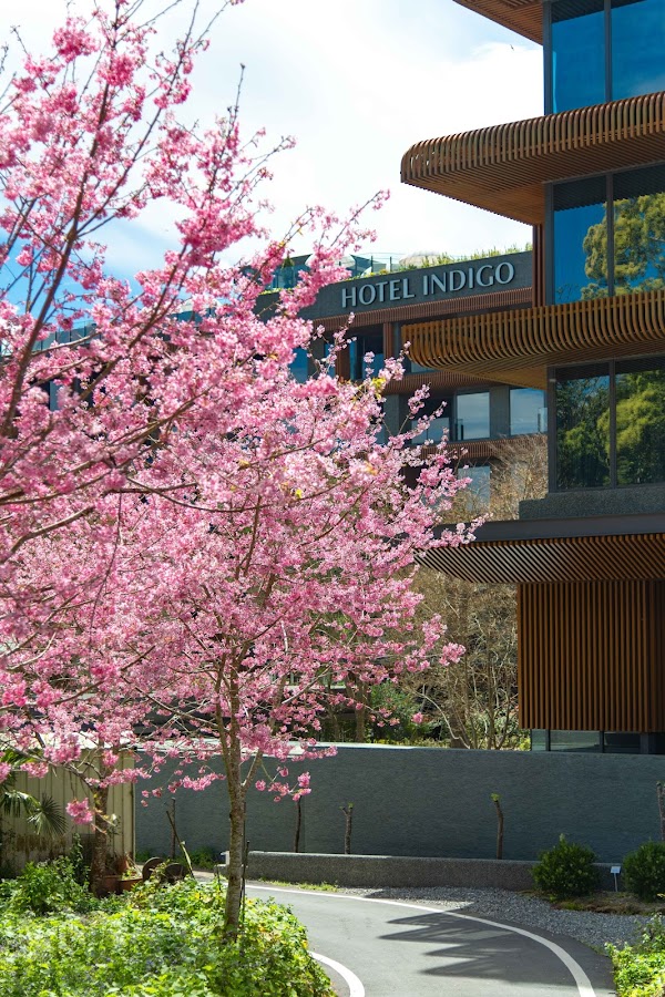 Hotel Indigo Alishan 2