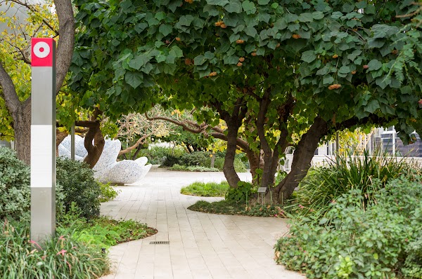 Blue Ribbon Garden 4