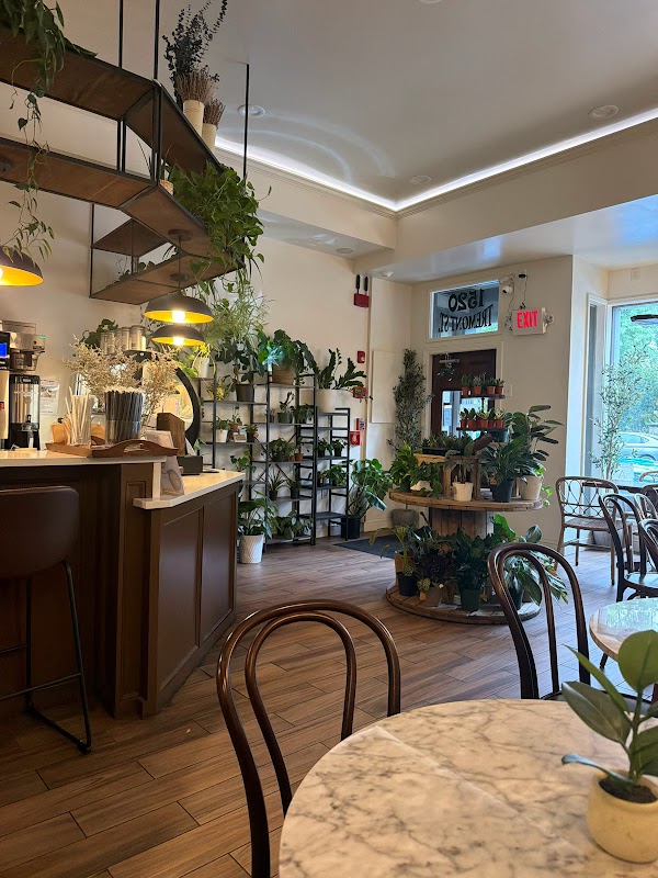 Green Haus Cafe 3