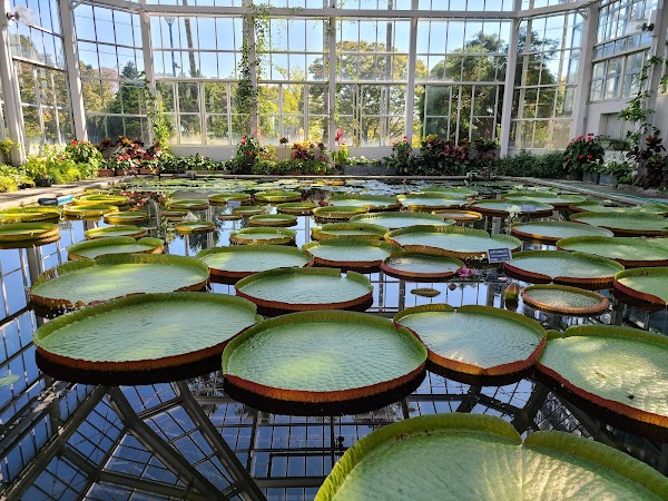 Hiroshima Botanical Garden 5