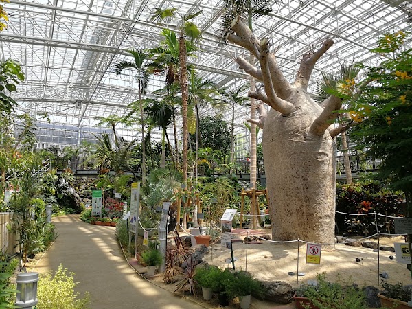 Hiroshima Botanical Garden 3