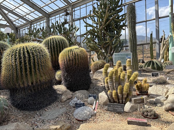 Hiroshima Botanical Garden 2