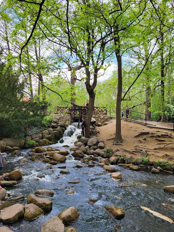 Oliwski Park 5
