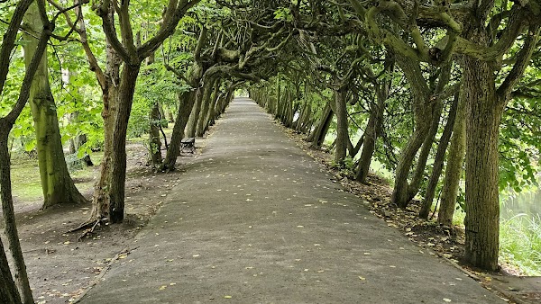 Oliwski Park 3