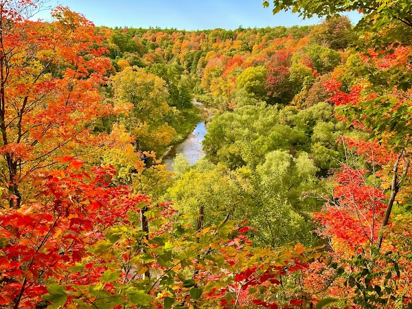 Bronte Creek Provincial Park (Day-Use area) 3