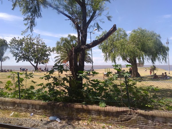 Tren de la Costa