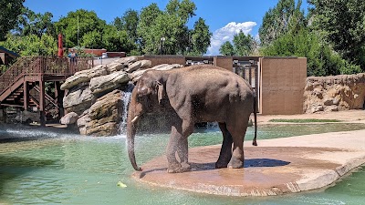 Denver Zoo 2
