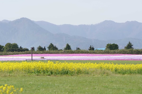 Shinshu Sky Park 2