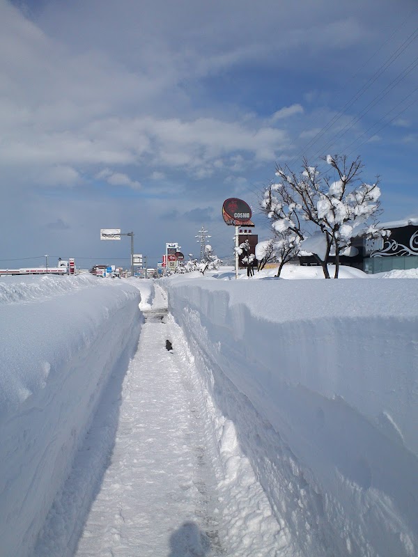 Yokote 3