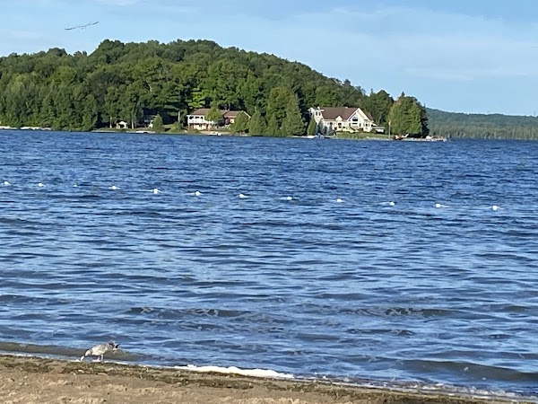 Bass Lake Provincial Park 2