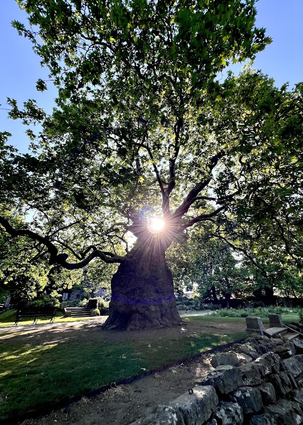 Westgate Gardens 3