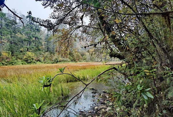 Hailuogou Glacier Forest Park 2