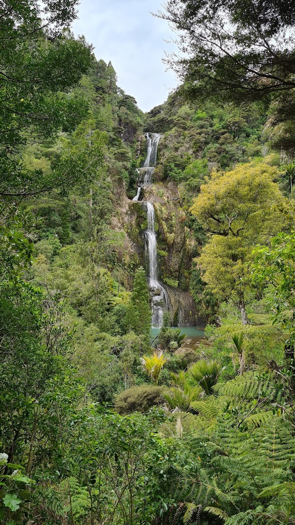 Waitakere Ranges Regional Park 5