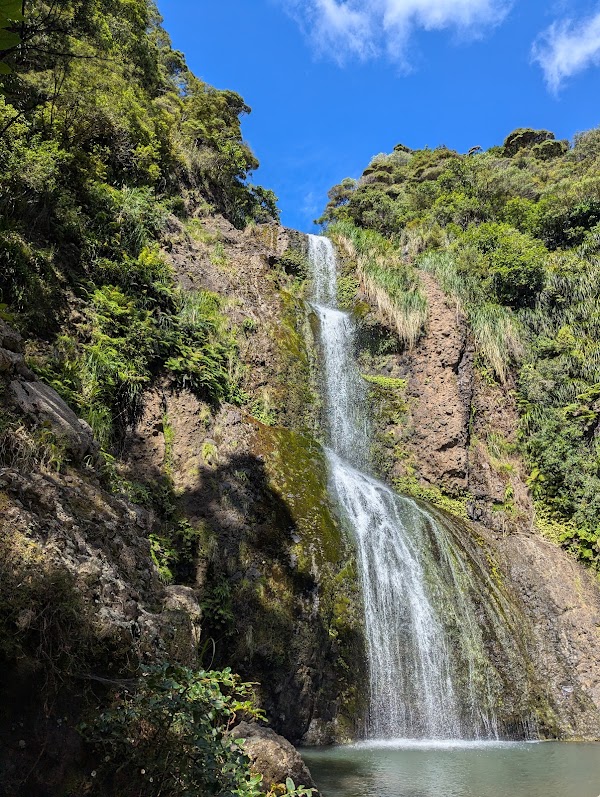 Waitakere Ranges Regional Park 3