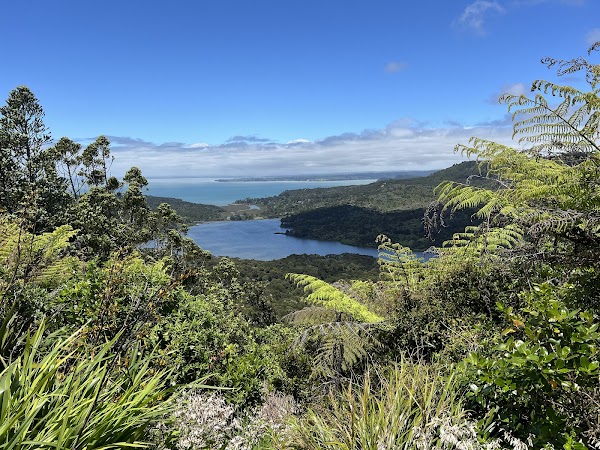 Waitakere Ranges Regional Park 2