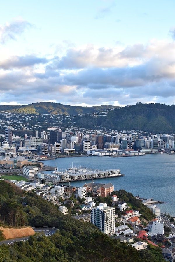 Mount Victoria Lookout Walkway 1