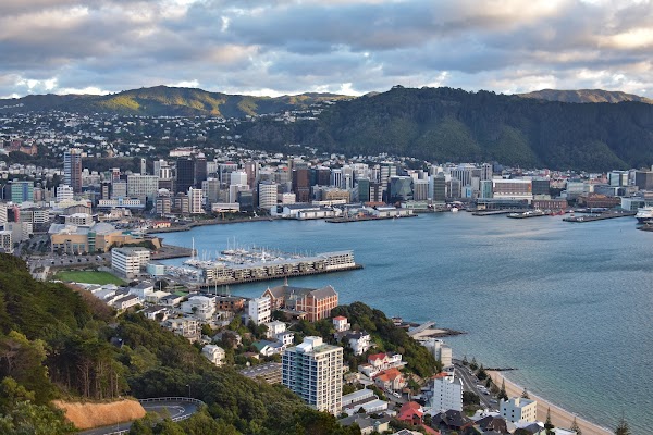 Mount Victoria Lookout Walkway 3
