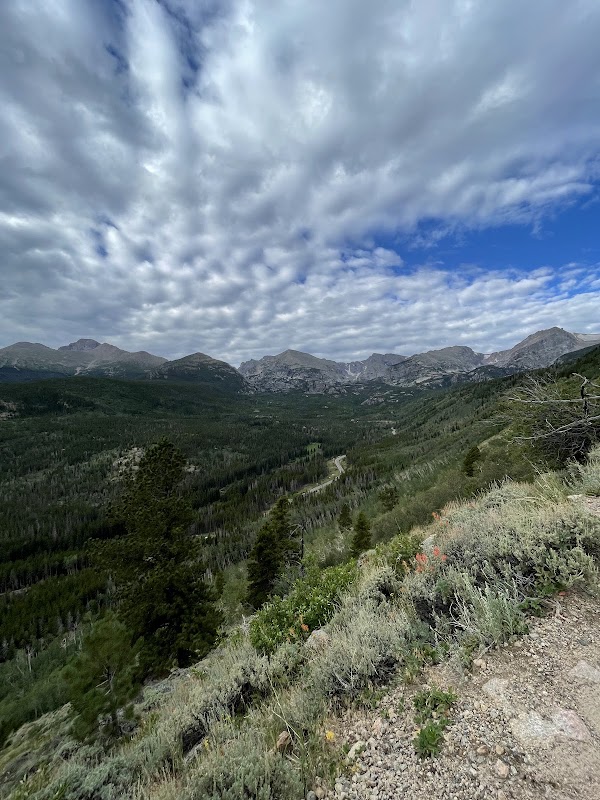 Bierstadt Lake Trail 1
