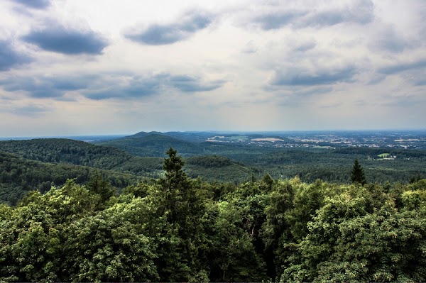 Teutoburg Forest 5