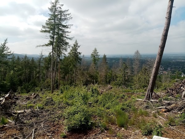 Teutoburg Forest 2