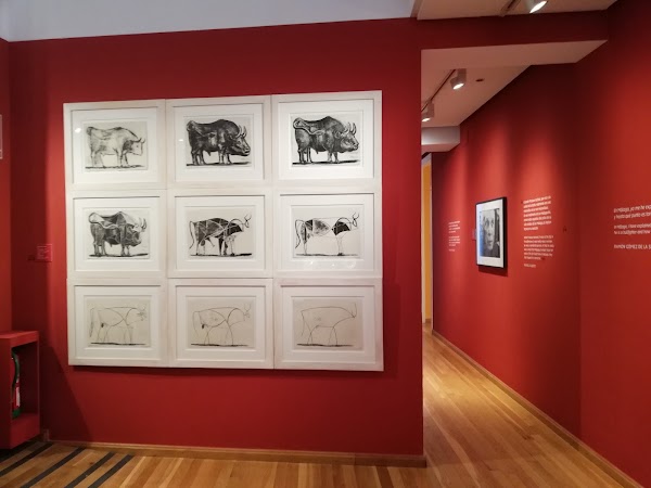 Museo Casa Natal de Picasso 5