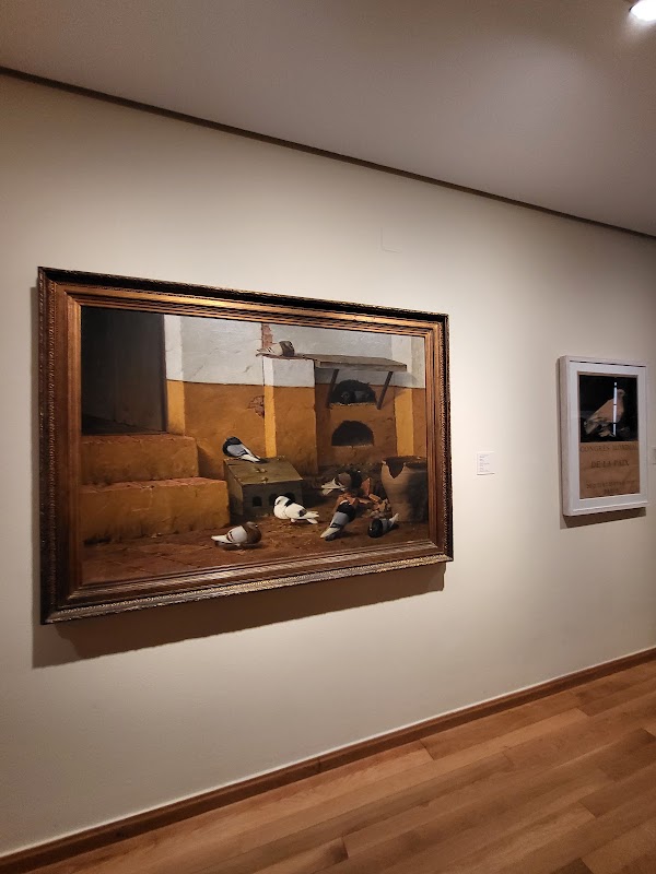 Museo Casa Natal de Picasso 2