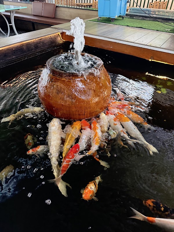 Koi Garden Coffee 4
