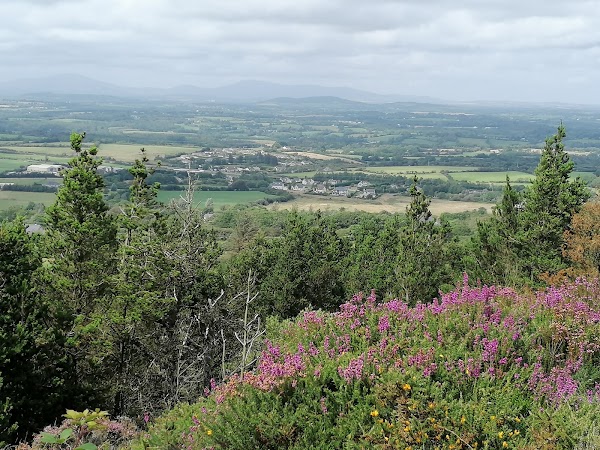 Carrigfoyle Quarry 5