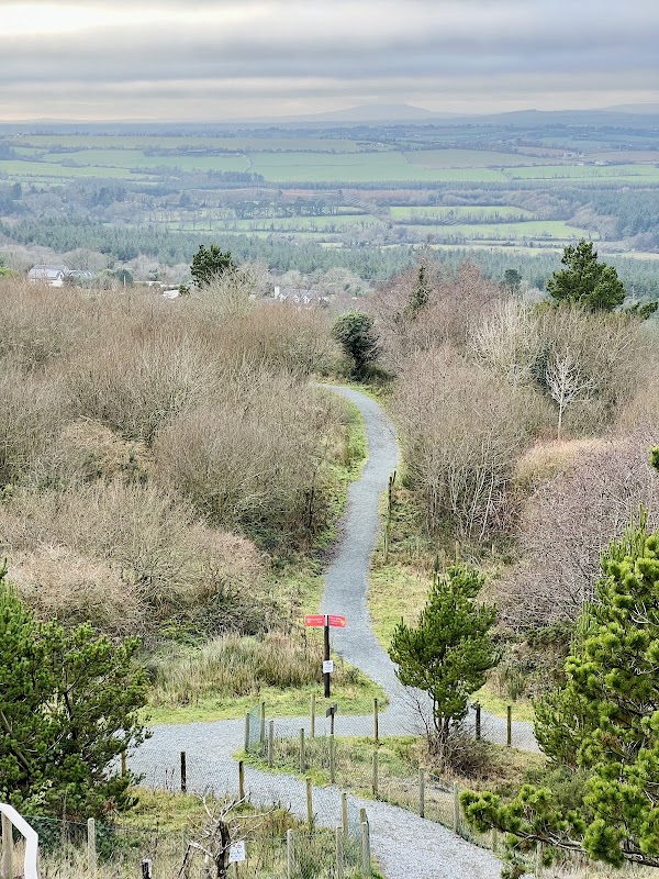 Carrigfoyle Quarry 3