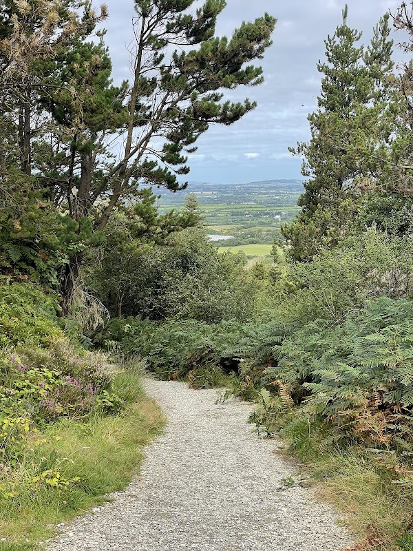 Carrigfoyle Quarry 2