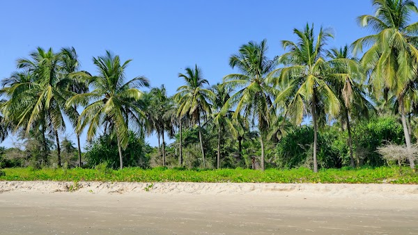 Senegal 4