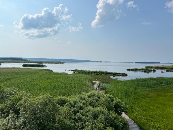 Takern nature reserve 5