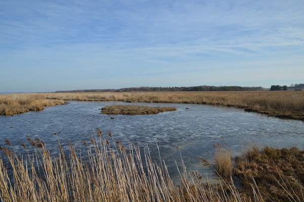 Takern nature reserve 4