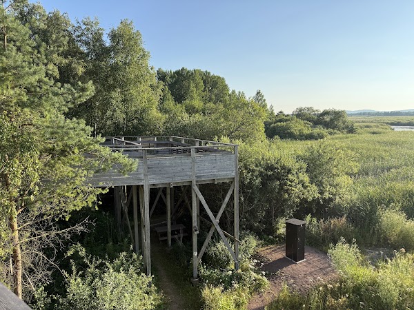 Takern nature reserve 3