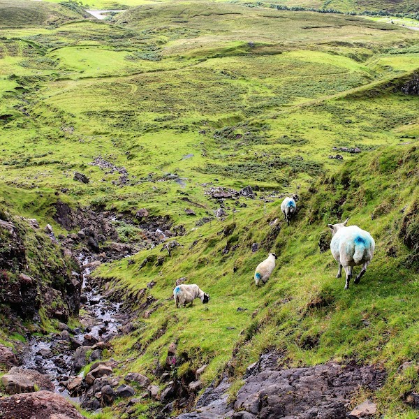 The Quiraing 4