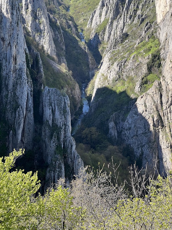 Cheile Turzii 3